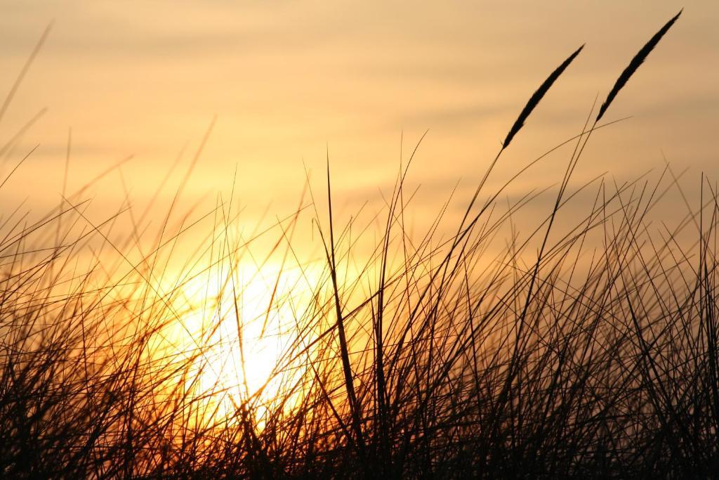 Hotel Anka Norddorf auf Amrum Zewnętrze zdjęcie